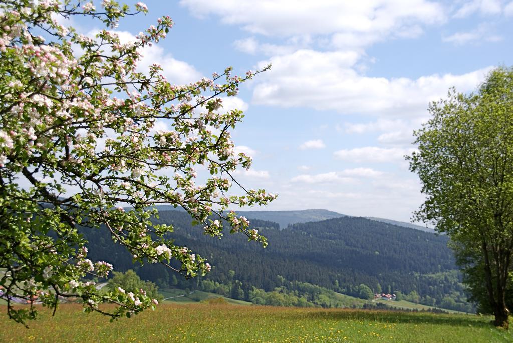 Privatpension Bergschutz Sankt Englmar Luaran gambar