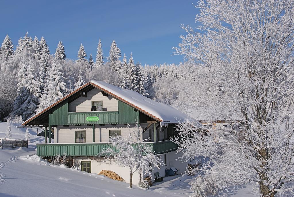 Privatpension Bergschutz Sankt Englmar Luaran gambar